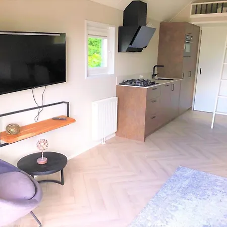 In Netherlands With Dual Terraces *